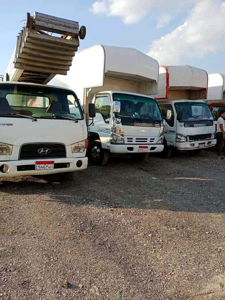 المعادي